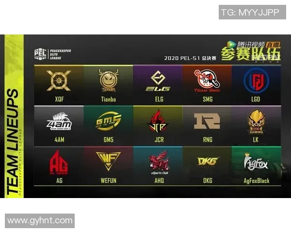 esports数据电竞数据揭秘王芳谈和平精英成功秘诀与未来发展方向